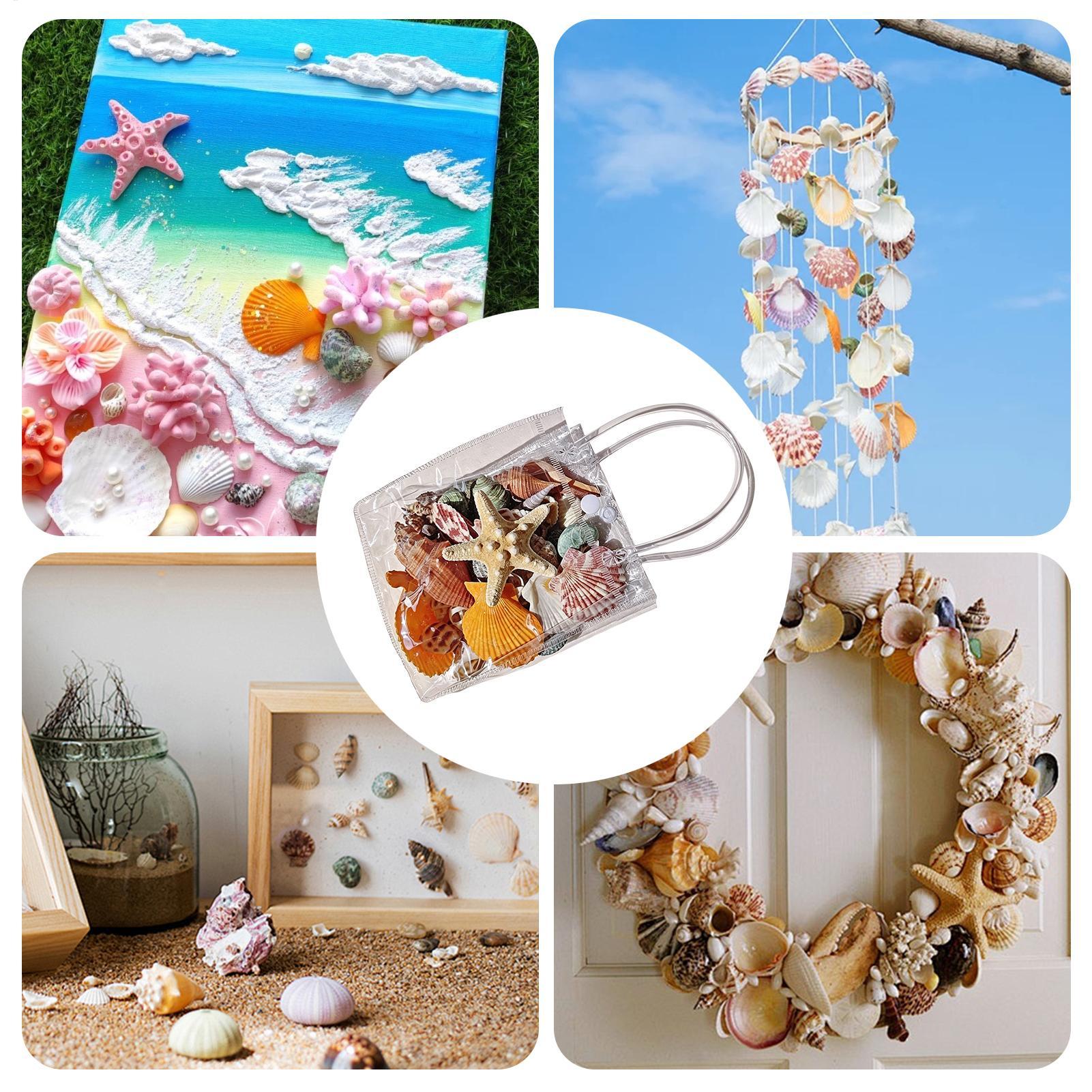 Tiny Seashells For Crafts Natu - огляд і ціна Candle Making For Beginners